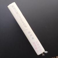 吹雪の星の子どもたち　☆