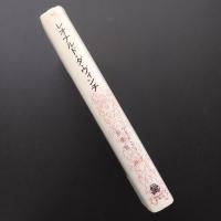 レオナルド・ダ・ヴィンチ　☆