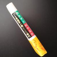 対論 言語学が輝いていた時代　☆