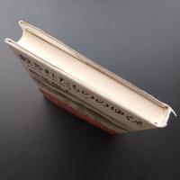 殺されたもののゆくえ　わたしの民俗学ノート