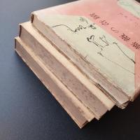 泥棒日記・花のノートルダム・薔薇の奇蹟　ジャン・ジュネ　3冊セット