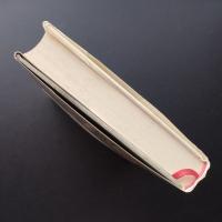 昭和維新の朝　二・二六事件と軍師　齋藤瀏