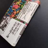 夢劫の人　石牟礼道子の世界