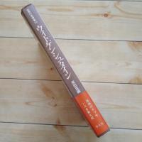 ウィトゲンシュタイン　世界の思想家23