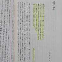 パレスチナから報告します