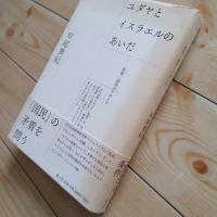 ユダヤとイスラエルのあいだ　民族/国民のアポリア