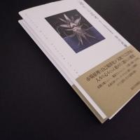 ＜遅れ＞の思考　ポスト近代を生きる
