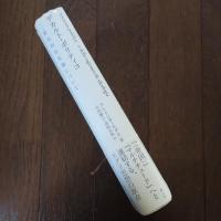 デカルト・ポリティコ　政治的存在論について