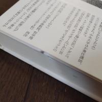 デカルト・ポリティコ　政治的存在論について