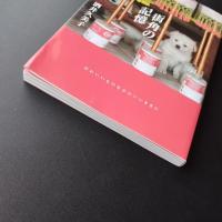 街角の記憶　酒井久美子作品集
