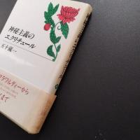 神秘主義のエクリチュール