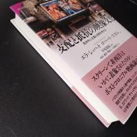 支配と抵抗の映像文化  西洋中心主義と他者を考える