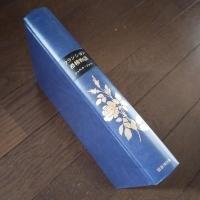 フランシヨン滑稽物語