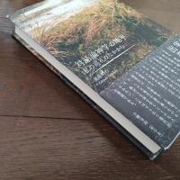 対話論神学の地平 私の巡礼のなかから