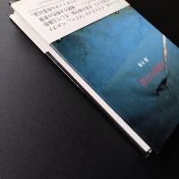注視者の日記