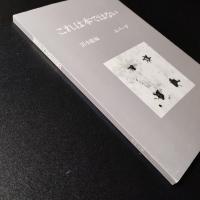 これは本ではない　叢書エパーヴ3