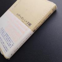 ロデーズからの手紙　アントナン・アルトー著作集　Ⅴ