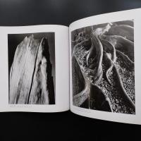 風景写真の巨匠アンセル・アダムス展　そしてその先駆者たち