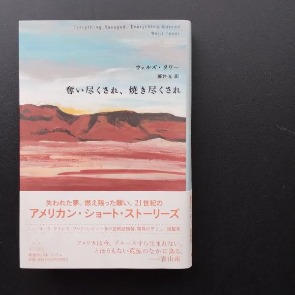 ダンテ『神曲』講義(平川祐弘) / librairie 恋する虜+ / 古本 ダンテ『神曲』講義(平川祐弘) / librairie 恋する虜+ / 古本
