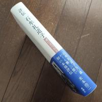 評伝　石牟礼道子  渚に立つひと