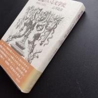 悪魔のいる文学史　神秘家と狂詩人
