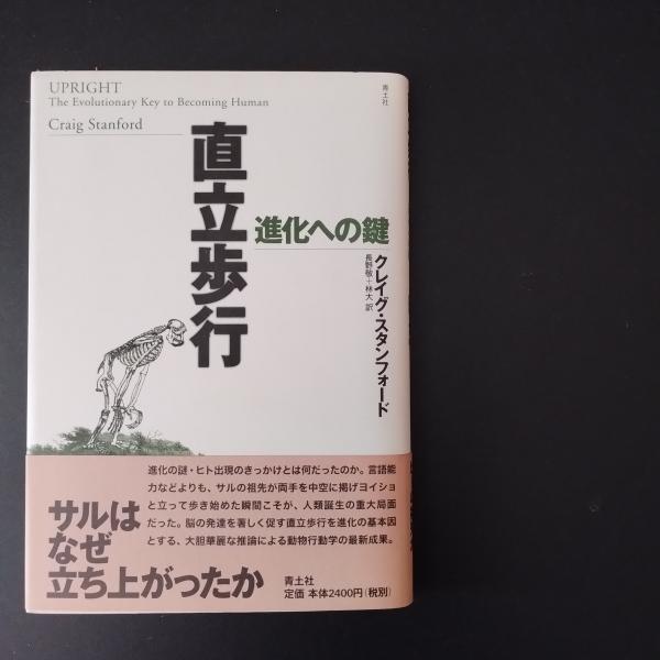 ドイツ中世後期の政治と政治思想 大空位時代から「金印勅書」の