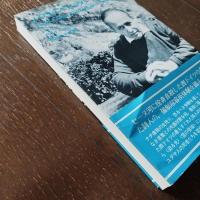 パウル・ツェラン詩集 （思潮社海外詩シリーズ）