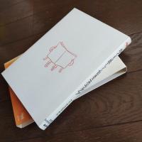 かくも激しく甘きニカラグア　双書・20世紀紀行