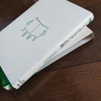 アフガニスタンの風　双書・20世紀紀行