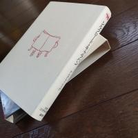 シルクロード・キャラバン　双書・20世紀紀行