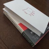 シルクロード・キャラバン　双書・20世紀紀行