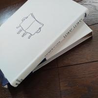 シカゴ、シカゴ  双書・20世紀紀行