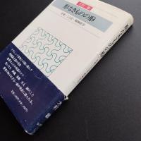 形なきものの形　音楽　ことば　精神医学