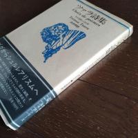 ツァラ詩集　海外詩シリーズ
