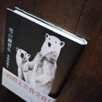 雪の練習生