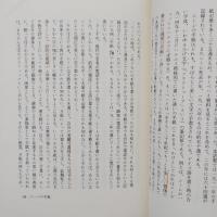 エーゴン・シーレ　日記と手紙　少線引き