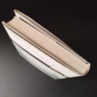 スピノザ　実践の哲学