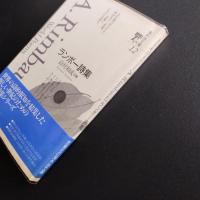ランボー詩集　海外詩文庫 12　少線引き