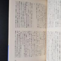 ランボー詩集　海外詩文庫 12　少線引き