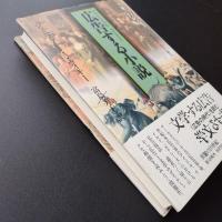 広告する小説　異貌の19世紀