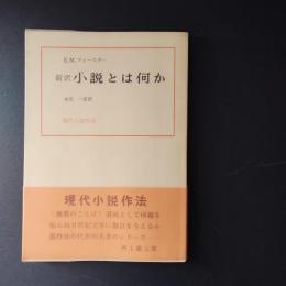 新訳　小説とは何か