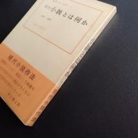 新訳　小説とは何か