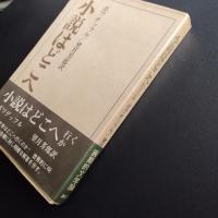 小説はどこへ行くか