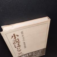 小説はどこへ行くか