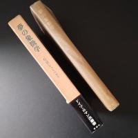 夢の象徴学