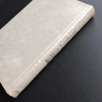 ヨーロッパ小説論