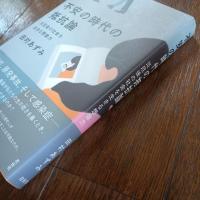 不安の時代の抵抗論  災厄後の社会を生きる想像力