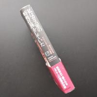 私はガス室の「特殊任務」をしていた