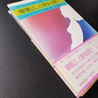 破壊しに、と彼女は言う
