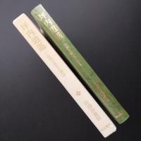 坪内逍遥 　伝統主義者の構図